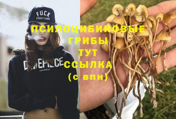 мяу мяу мука Абдулино