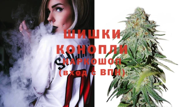 сатива Абаза